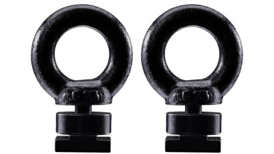 Кільце в Т-паз Thule Eye Bolt 320 (TH 320)