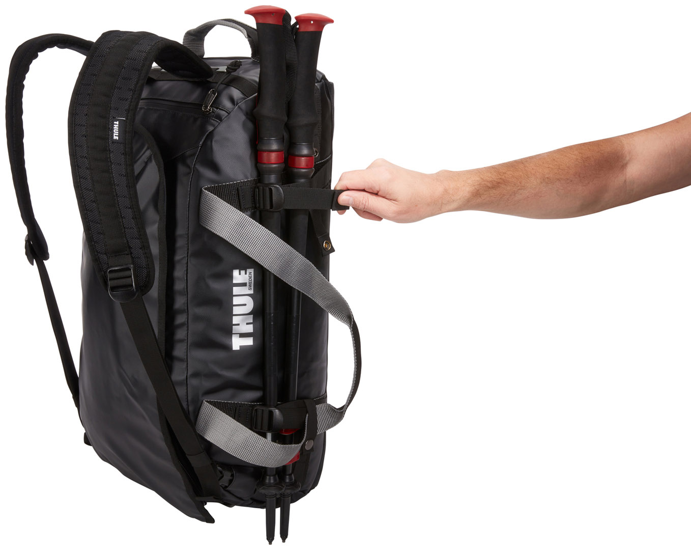 78602_Thule Chasm (5) Спортивная сумка Thule Chasm 130L (Black) 3204419